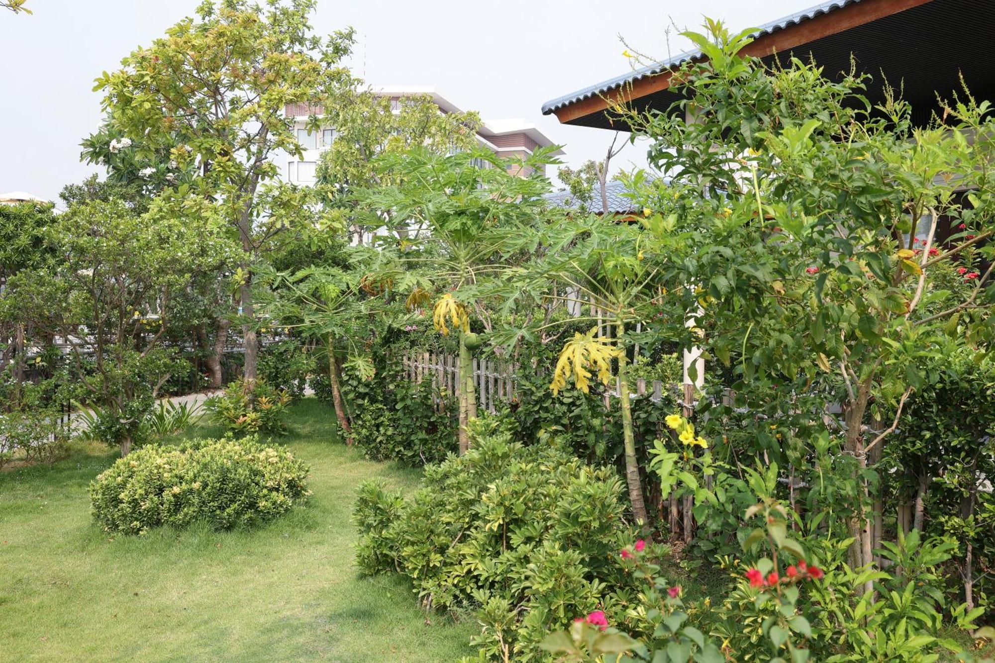 Hoan My Resort - Ninh Chu Phan Rang Luaran gambar